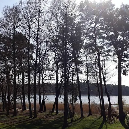 Penthouse Bernd Im Waldschloesschen Direkt Am Wendisch Rietz